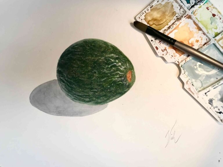 Avocado_